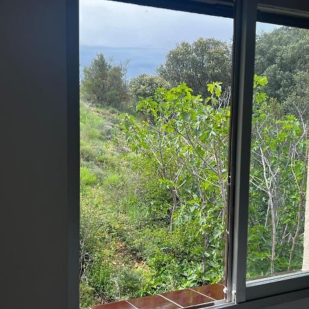 Apartaments La Pertusa 2O Corca  Kültér fotó