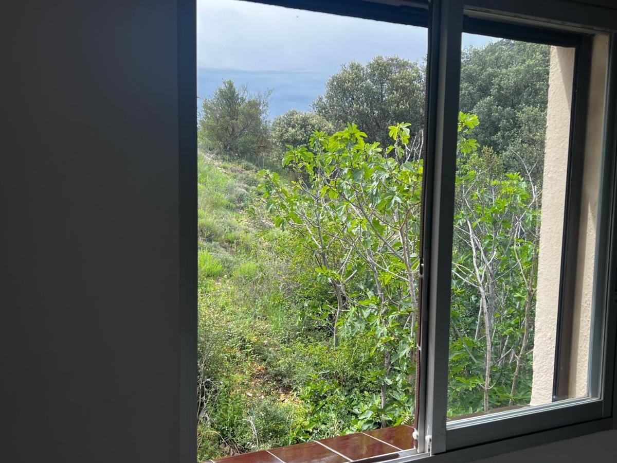 Apartaments La Pertusa 2O Corca  Kültér fotó